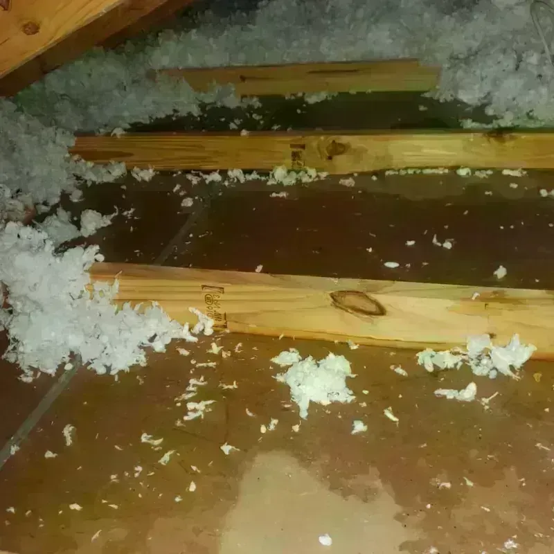 Attic Water Damage in Howard City, MI