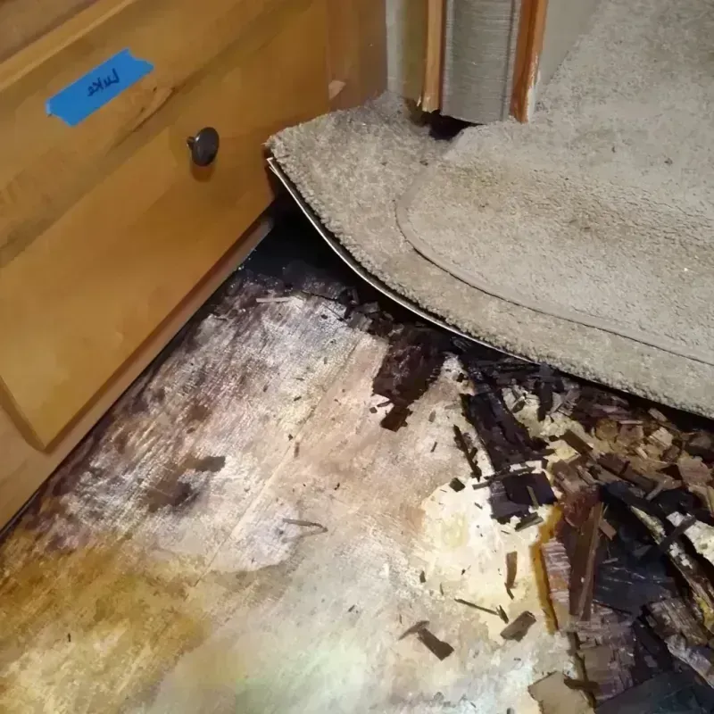 Wood Floor Water Damage in Howard City, MI